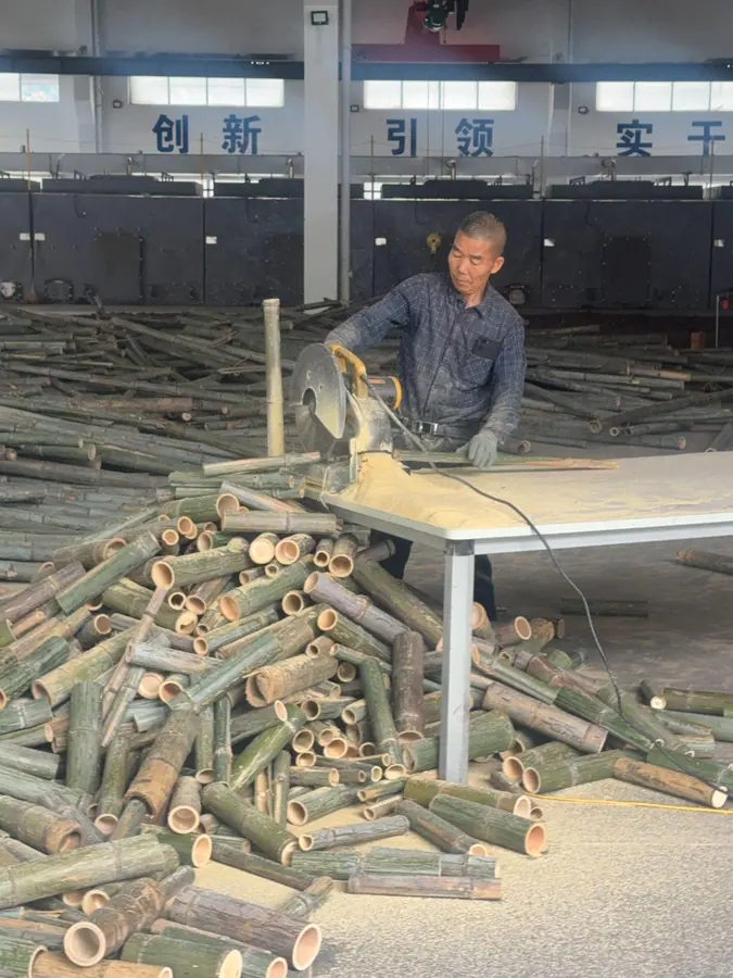 Tongao biomass preprocessing plant in Zhejiang