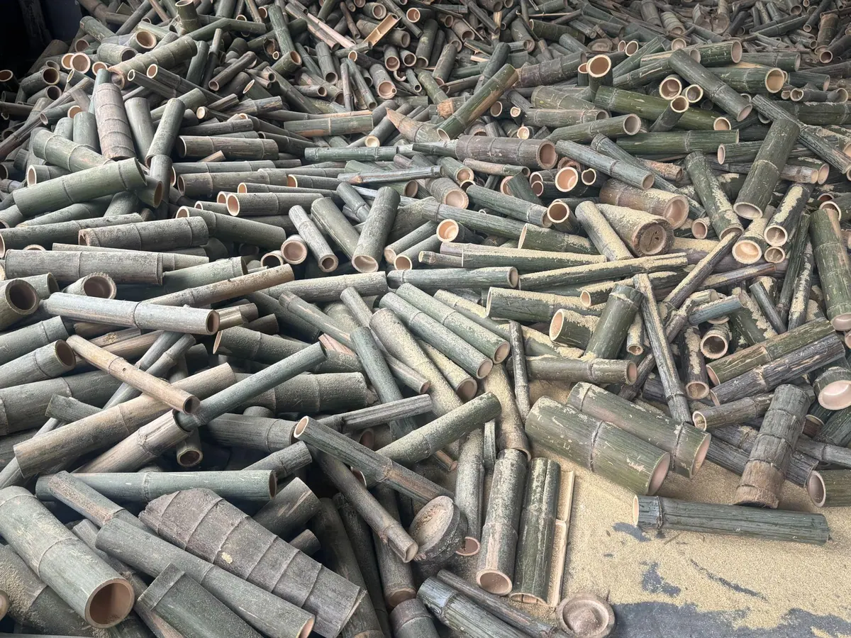 Biochar produced at a Tongao carbonisation site