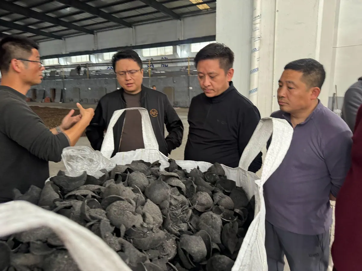 Biochar produced at a Tongao carbonisation site