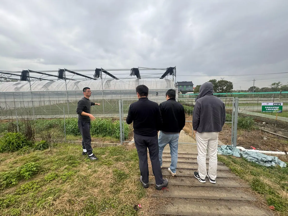 Field application and agricultural base of Tongao